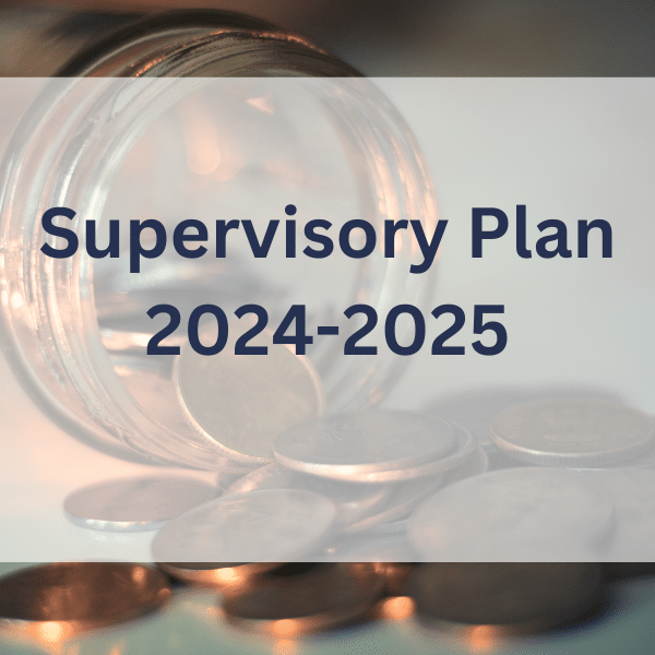 Supervisory Plan 2024-2025